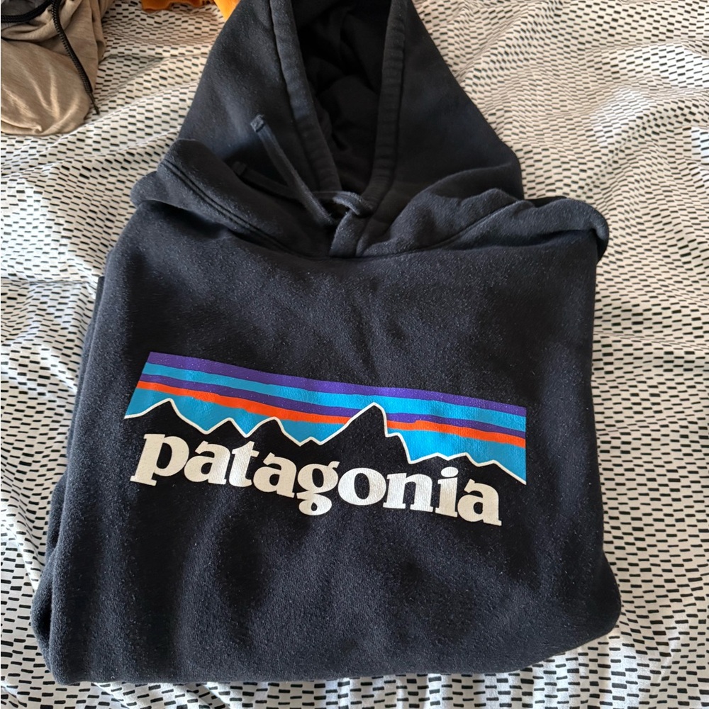 PATAGONIA HOODIE